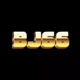 Bj66team