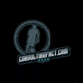 Consultingfactcom
