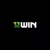 11wininnet