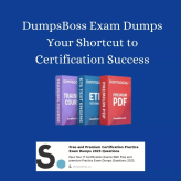 DumpsBoss Guide