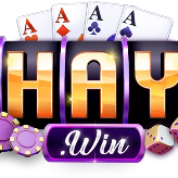 1Haywin Tech