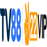 Tv88cam
