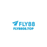 Fly8808top