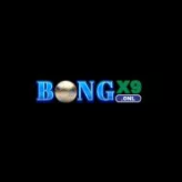 Bongx9 Onl