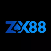 ZX88 Net