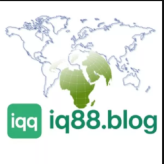 IQ Blog