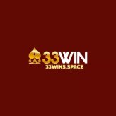 33winsspace