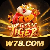 W78 Game Sua Plataforma Completa